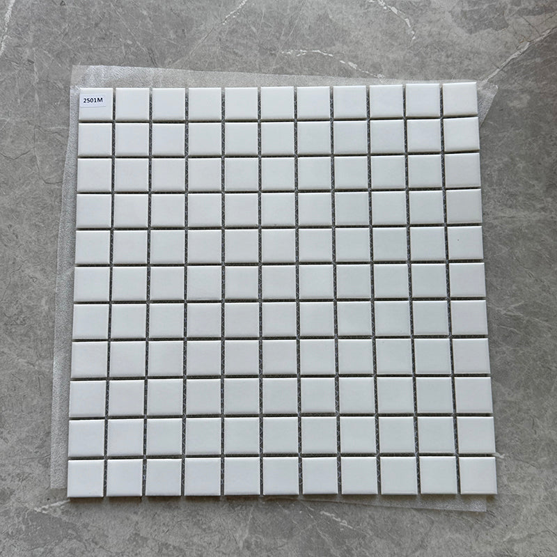 Pool Mosaic Tile 2501M - 2501M_04_Product-Photo
